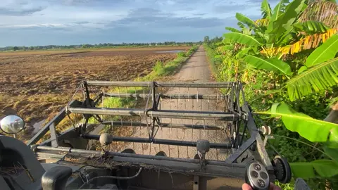 Dậy sớm để thành công@🎠Thạch' Lan' 🎑 #dc93extra 