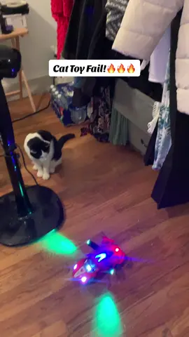 Part 1 of Cat toy fail! What were we thinking with this noisy car??? Thought Zorro would love it! Guess not🤣🤣🤣 not giving up! #catparents #catlovers #roadto10k #followtrend😛 #f4f #contentcreator 