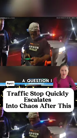 Traffic Stop Quickly Escalates Into Chaos After This part 1