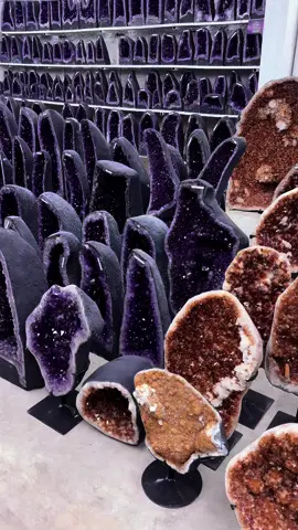 Aqui nosso compromisso é com a verdade ✅! Vem conhecer o #FakeCitrino, ou melhor, #AmetistaQueimada 🔥🥸 LP MINERAIS: Loja responsável em dizer a verdade aos clientes. Trabalhamos também com o Citrino totalmente Natural em nossas lojas físicas! Venha nos visitar e peça para nossa equipe! ⛏️💎📦🗺️ - SHOWROOM Barra Funda (SP); - SHOWROOM Ametista do Sul (RS); Compre on-line em www.lpminerais.com.br ▪️ Contact us for your shipment! export.sp@LPMINERAIS.com.br 〰 S E L E C T E D in 🇧🇷 ▪️ #burn #citrine #citrino #burnman #usa #amethyst #amethystgeode #geode #cluster #amethystcluster #naturalcitrine #citrinonatural 