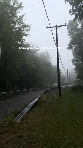 something about the fog and rain … love it #silenthill2 #horrorgamelover #horrorgamer #horrorgame #foggyweather #cybercore #horroraesthetic #silenthillaesthetic #horrorgameaesthetic #silenthill #fatalframe2 #fatalframe #horrorprotagonist #horrorprotagonistoutfits #foggy #foggyforest #aesthetic #horrortiktok #horrorlover #woods #foryoupage #fyp 