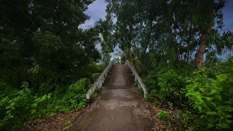 Cà Mau bình yên😊🥰#xuhuongtiktok #chill #đườngquê #quêtôi #bìnhyên🌿 #fyp #mientay #69camau ✌️🥰🥰❤️❤️❤️❤️❤️❤️