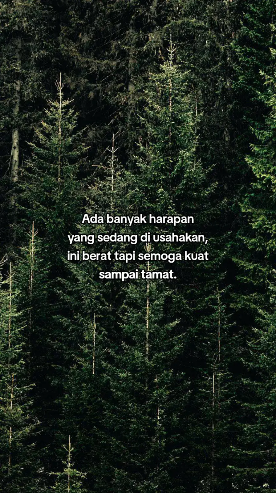 #fyp #fypシ゚ 
