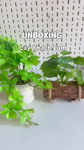 Cây nhựa decor bàn học,nhà …. #caydecor #decorbanhoc #caynhua #caynho #cây #fy #foryou 