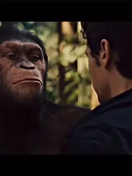 มาไกล้ๆ มีไรจะบอก#ลิงพูดข้างหู#meme#monkeymemes #fyp 