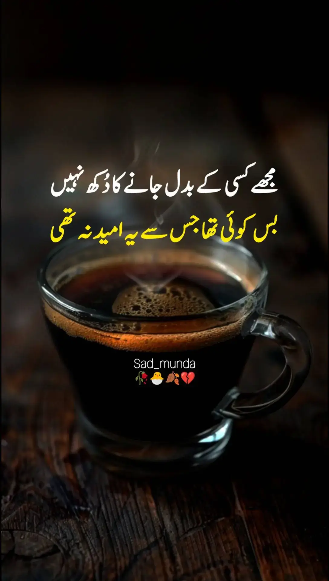 @🦋 Zoya Malik 🦋 #fypシ #foryou #urdupoetry #foryoupage #10millionadoptions #unfrezzmyaccount #abdullahjutt089 #urduline #urdushayari 