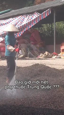 Không thể phủ nhận sức tiêu thụ của thị trường TQ đối với nông sản Việt Nam! #nongsanviet #Langson #hoahoi #hoahoilangson #quehoi 