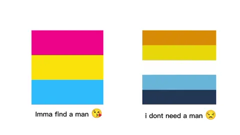 Pan and Aroace duo✨  #lgbtq #pansexual #Aroace #besties