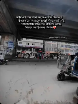 #reduyancahcchu #জাতিরচাচ্চু 