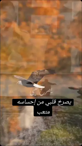 #يحيي -الدميري#يصرخ قلبي من إحساسه متعب 