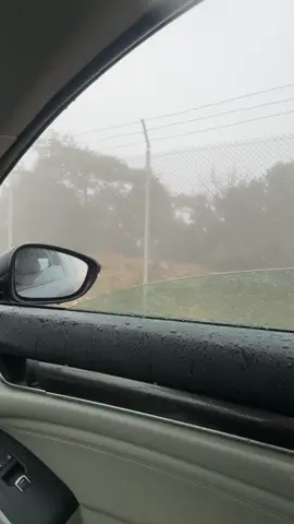 #أبها #محمدعبده 