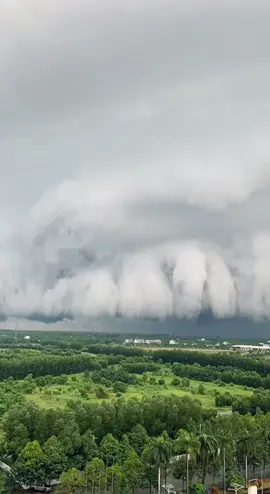 Bình Dương lúc này #tiktok #trend 