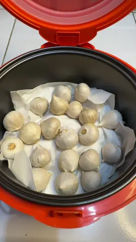 apakah neng rarah berhasil bikin black garlic?