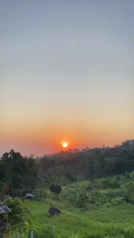 View pagi hari di villa tamanika suwahdu lhoooo🤗gk pengen ta pean🤗🤤#villatamanika #masukberanda #kamarantretes 