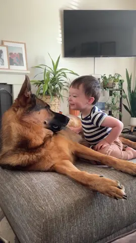 The end they’re good friends#dog #kid #doglover #bestfriend #catlover 