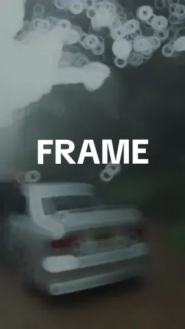 සති ගනන් මෙහෙ නෑ කොල්ලා නිදි 📷🍃 #nature #photography #wildlife #wildlifephotography #fyp #fypシ #foryoupage #srilanka 