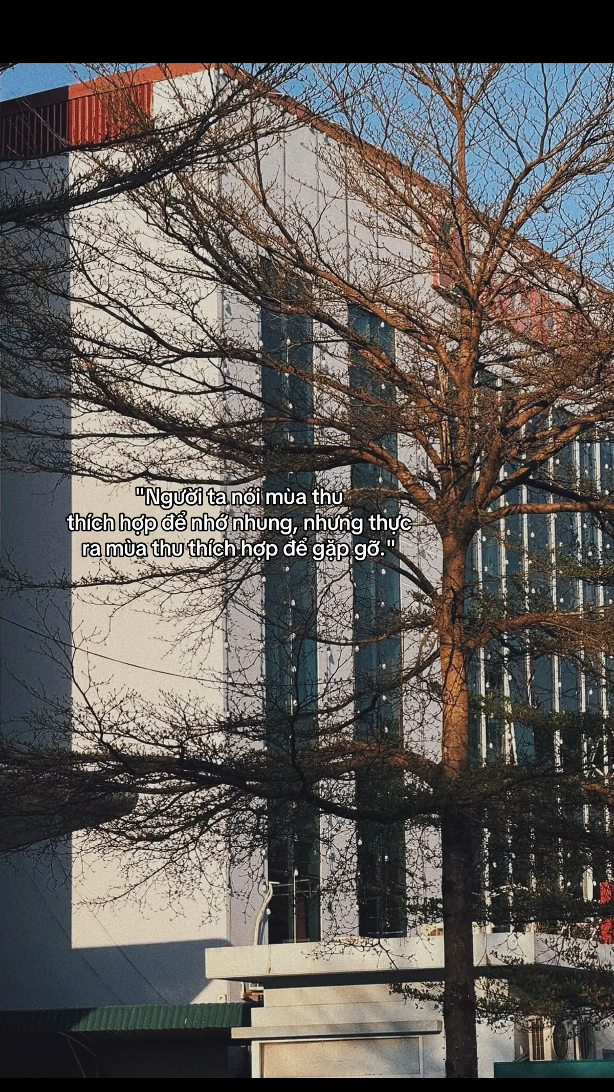 “Người ta nói mùa thu thích hợp để nhớ nhung, nhưng thật ra mùa thu thích hợp để gặp gỡ.” (St)  #fyp #xh #viral #autumn #nấm 