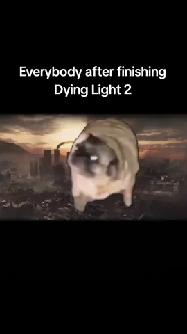 had me sitting there vibing #dyinglight #dyinglight2 #dyinglightthebeast #gaming #funny #techland #meme #memes #gamingmemes #CapCut #kylecrane #aidencaldwell #harran #villedor #volatile #zombie #nighthunter #music #end #ending #credits #fyp #viral 