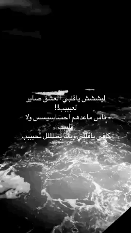#عراقي #مسرع #fypシ #fyp كافي ياقلبي وبطللل تحببب 😓😓