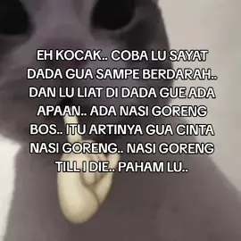 cintaku, jiwa ragaku, separuh nafasku,, nasi goreng.. 🙁🙁 #nasigoreng #nasgor #4u #4you #fyp #foryoupage #foryou #fypシ #beranda #nasigorengtillidie #paham #kakgem 