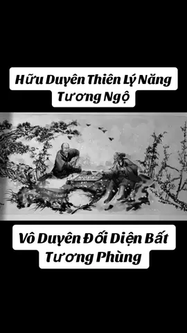 #Hữu Duyên Thiên Lý Năng Tương Ngộ,Vô Duyên Đối Diện Bất Tương Phùng#baihoccuocsong #trietlycuocsong #loidayconhan #trituenguoixua #caunoihay #xuhuong 