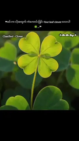 ChanYeol - Clover 🍀Myanmar subtitles ❝မင်းက ငါ့အတွက် ကံကောင်းခြင်း four leaf clover 🍀 လေးပါ...❞ YouTube Myanmar subtitles link 🔗 https://youtube.com/watch?v=XExbZWWSz40&si=j5pGcair1-uQoTq8 Main channel  https://t.me/bibilay01 #CHANYEOL #CLOVER #cloverchallange #blackout #onthisday #fyp #fypシ #koreansong #Lyric #myanmarsub #subtitles #kpopfyp #Mmsub #CHANYEOL_BlackOut #Myanmar 