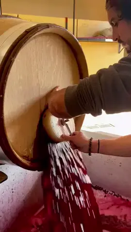 #asmr #fruits #fruit