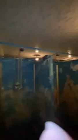 две кабинки на 8 этажей 😍 (душ общий🥲) #общага #общежитие #душ #рек  #rek #pyf #fyp 