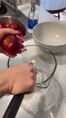 Homemade Apple Juice! And the best part, no recalls will be issued! #applejuice #apple #juice #homemadeapplejuice #homemade #appleseason #homemadejuice #nosugaraddedjuice #naturaljuice #homemadehome #homemadekitchen #norecallshere 