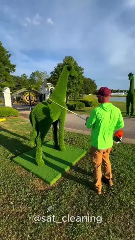 Relax and Enjoy 🧘‍♀️🍀 #garden #gardening #satisfying #cleaning #hedges #viral #asmr #relaxing #fypシ #fyp