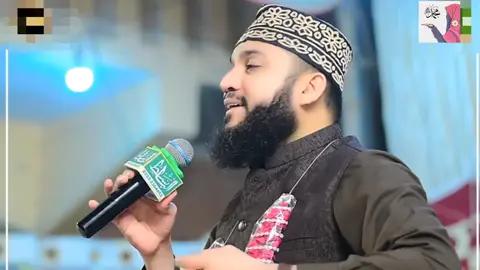 میں چپ کھڑا ہوا ہوں دربارِ مصطفیٰ ﷺ میں 🙏🏻😭 #NimraMalik27 #nimramalik2777 #naat #fyp #viral #tiktok #islamic_video #madina #mahmoodulhassanashrafi 