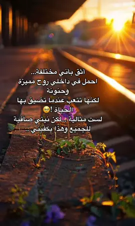 #الامارات_العربية_المتحده🇦🇪 #🥀🥀🥀 