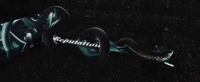 The Eras Tour - …Ready For It? #theerastour #taylorswift #reputation 