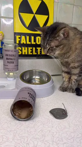 Catmeat gets a new Fallout feeder #fallout #fallouttok #mrsfallout #crafting 