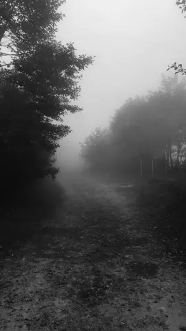 خايف اشكي و انفضح و الناس تدري بعلتي.. #fyp #explore #اكسبلور #بدون_هشتاق #الضويحي 