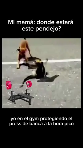 #viral #motivaciongym #ejerciciomotivación #fitgoals #Fitness #fit #gymworkout 