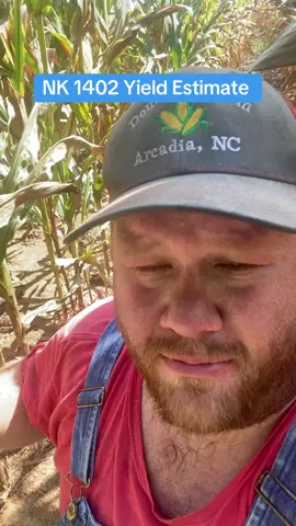 Annual @NK Seeds corn yield estimate! #nkpartner #nkseeds #harvestnk24 #northcarolina #farmer #farmtok #farmtokk #plantnk24 #ncagriculture #fyp 