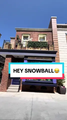Always good seeing the bestie Snowball😂🫶 @Universal Destinations  #universalstudioshollywood#universalstudios#hollywood#california#losangeles#funny#bunny#snowball#goofy#themepark#nice#foryou#fyp#fy#besties#bff#friendship#Love#secertlifeofpets#lol#hi 