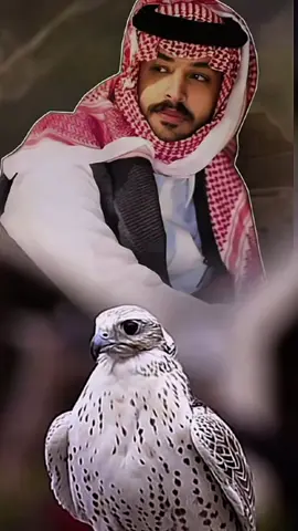 نيتي طيبه والناس غداره #اكسبلور #فايز_الدوسري ##CapCut 