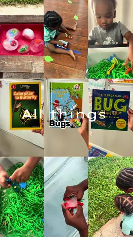 A recap of all the things/activites  learning about bugs.  It made sense for me to do it during the summer because boy did we see a lot of bugs just in our backyard 😂. We learned so many fun facts.  Follow @simply_fw for more simple and engaging toddler activities that make learning a fun  #toddlermom #EducationalPlay #SimpleActivities #ParentingHacks #EarlyLearning  #ToddlerLife #HandsOnLearning Budget-Friendly Ideas | Creative Play | Educational Activities | Parenting Tips | Sensory Play | Early Learning | Interactive | Engaging #CapCut 