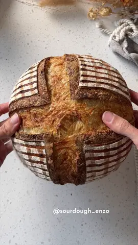 🍞Plaid Sourdough Loaf🍞 peeps, I’m soooooo excited about this new technique! I mean why NOT use @Fruit by the Foot to make decorative lines on your sourdough. Special thanks to @Mathew Arnold for the inspiration behind this loaf! Definitely will be doing this technique in the near future because it is 🔥  Also can we please talk about how there isn’t a plaid emoji?!? Let me know what you think in the comments!!  #sourdough #bread #art #plaid #fall