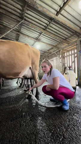 Mulheres fortes nunca desistem!  . . #meme #viral #mulheresfortes #agro #mulheres #mulhernoagro 