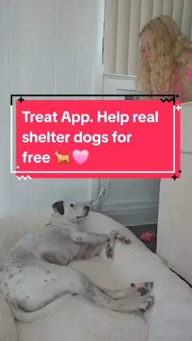 Treat is available to download in the app store 🐕🩷 #treat #shelterdog #rescuedog #sponsored #fypage #dog 