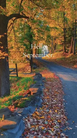 Welcome to the ‘ber months 