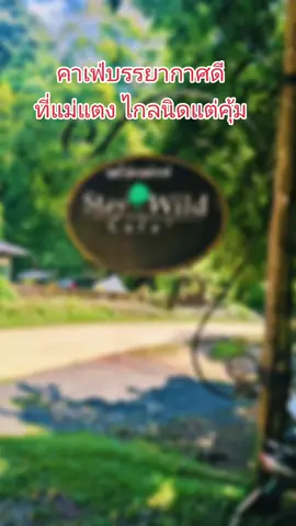 #คาเฟ่เชียงใหม่ #คาเฟ่แม่แตง ใครไปห้วยกุ๊บกั๊บ ไปแวะที่นี่ด้วยนะ ไม่ไกลกันมาก #staywild 