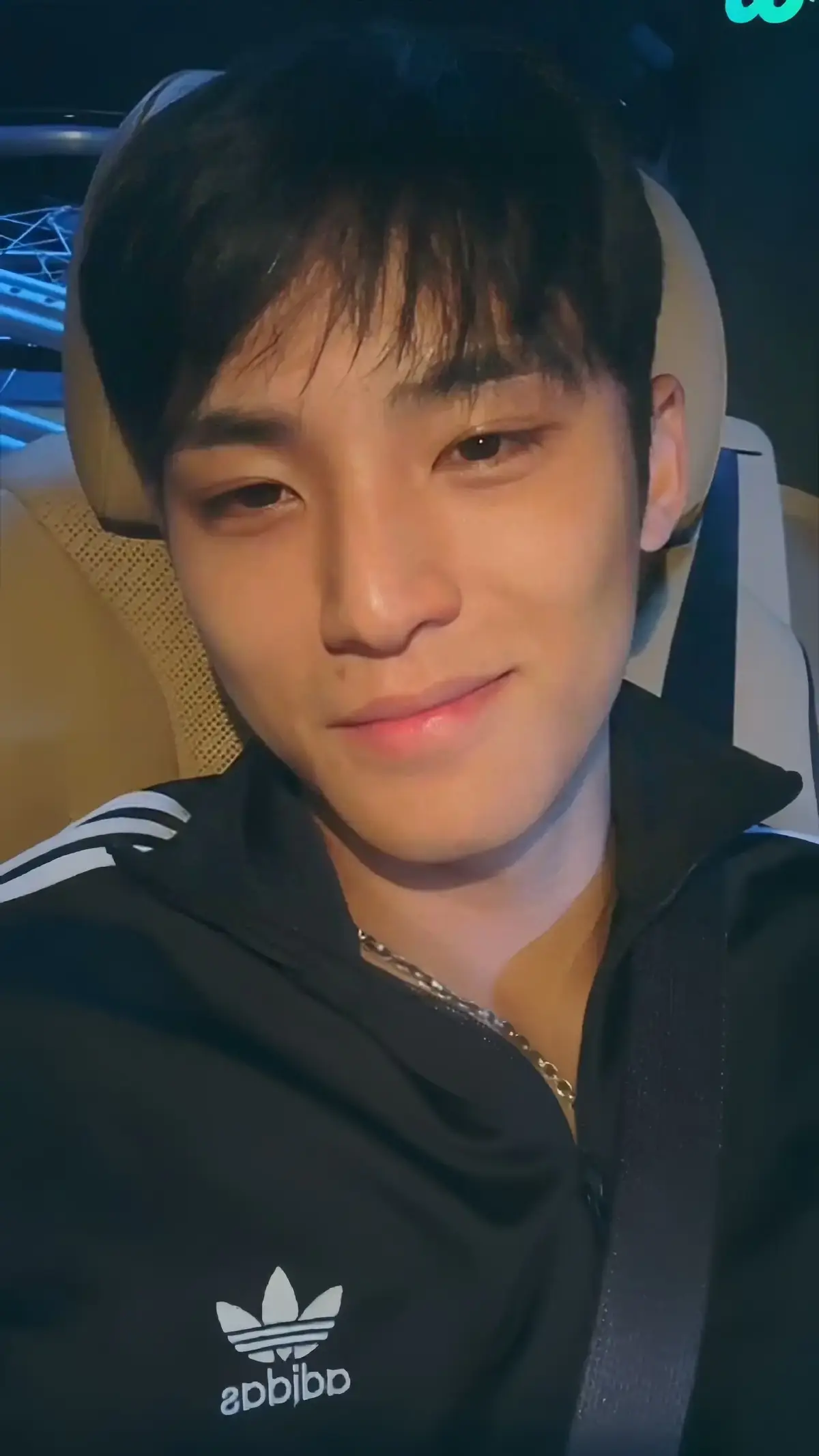 Membalas @lexa.lxnvtyini yaa #mingyu #seventeen 