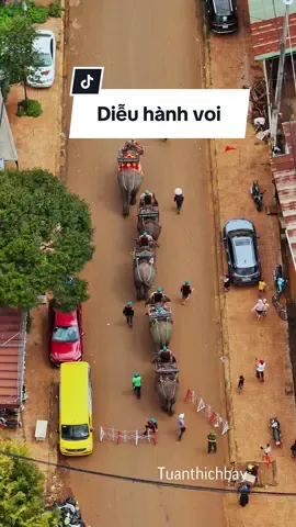 Diễu hành đường phố lễ hội sầu riêng #tuanthichbay #lehoisauriengkrongpac2024 #daklakquetoi 