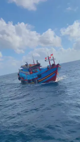 wonge teko nehh nona 🫠#robotlaut #kapalkursinjuwana #kapallaut #kapalpursesainejuwana #nelayantiktok #bahanswmu #juwana 