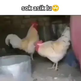 sok asik nih orang😑 #meme #perfectcut #shitposting #viral #fyp #rnsyh_arp 