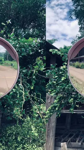 #อย่าไห้รู้ว่าตอแหลน้ะ #ฟีดดดシ #แขวนแม่ลาหลวง 😙😙